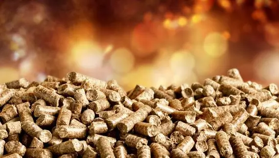 Pellets